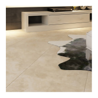 Feinsteinzeugfliese Gold  Beige  gallery 24_2nd